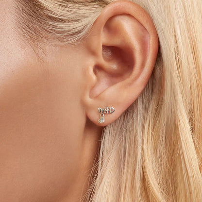 Fish Bone & Paw Stud Earrings